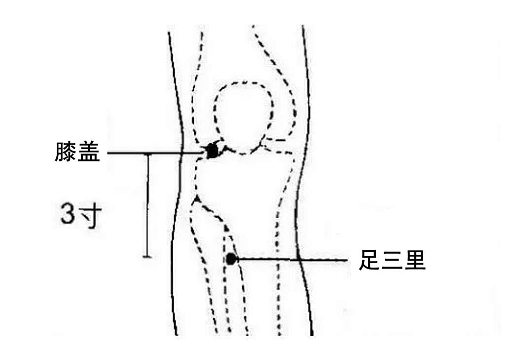 足三里穴