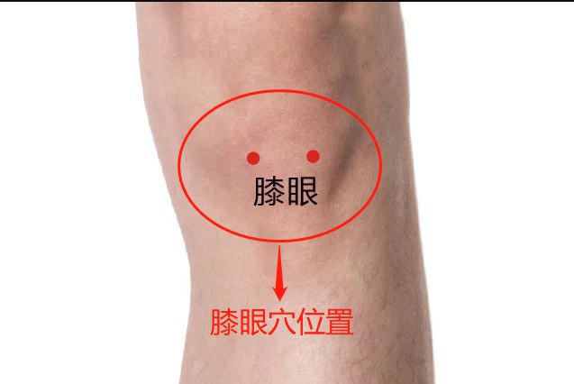 膝眼穴位置图