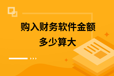 购入财务软件金额多少算大