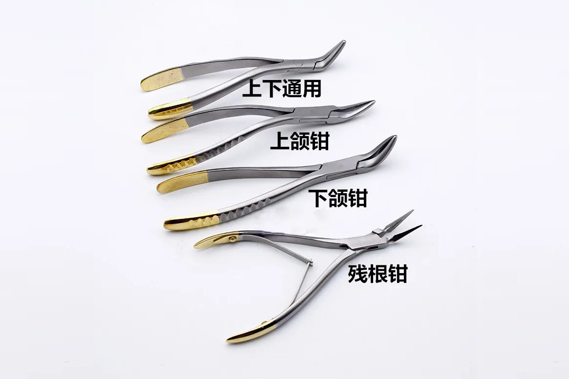 上颌拔牙钳