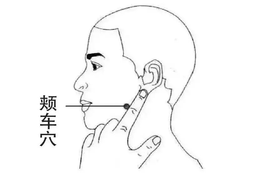 颊车穴