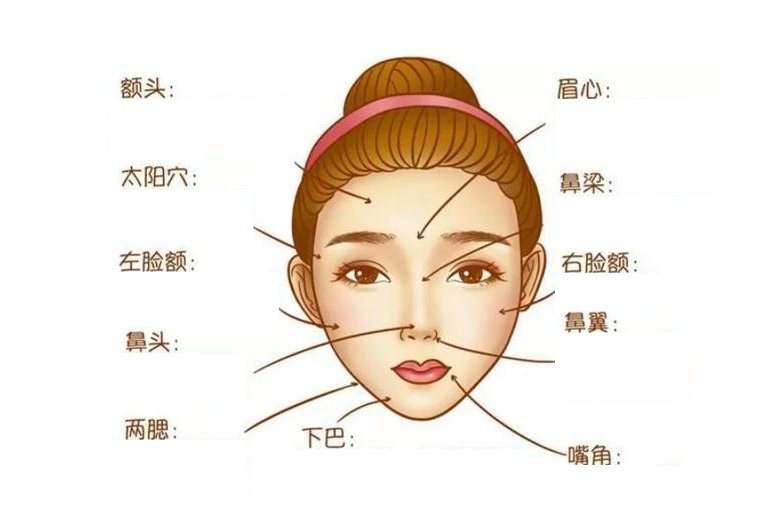 脸部长痘痘区域图