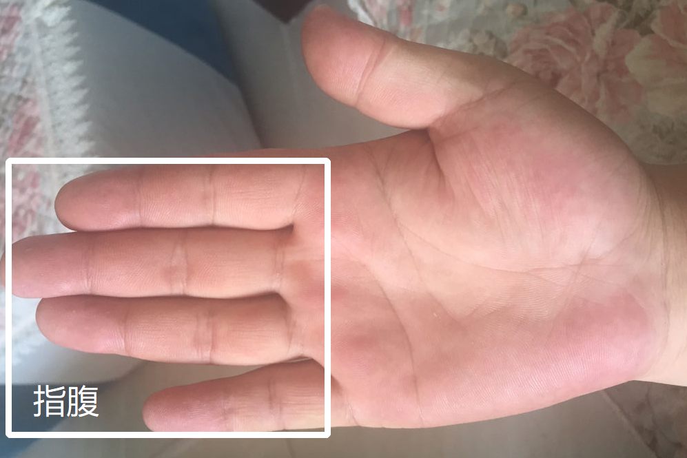 指腹位置图片