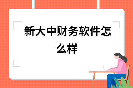 新大中财务软件怎么样 新大中财务软件怎么样