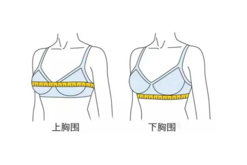 胸围量哪里准确图片