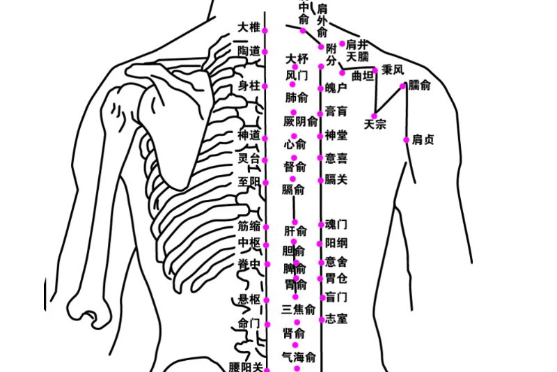 背部穴位