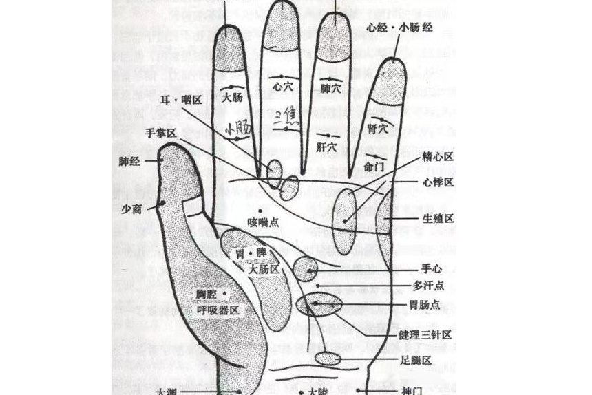 手掌心的经络图