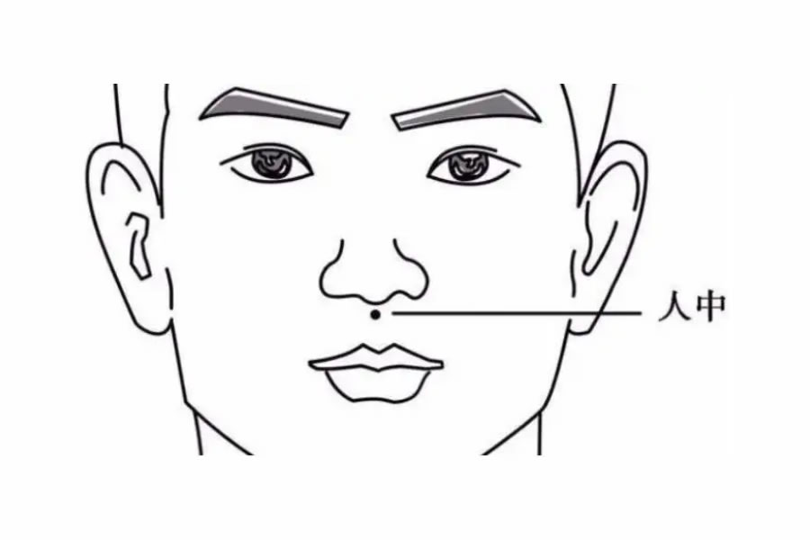 人中部位图片