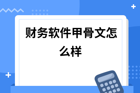 财务软件甲骨文怎么样 财务软件甲骨文怎么样