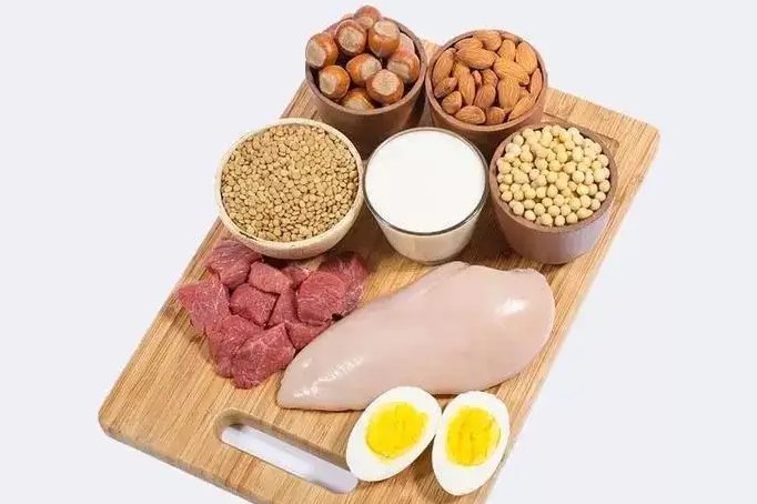 动物、植物蛋白