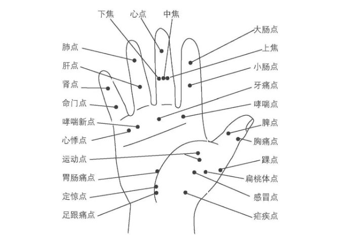 手掌反射区位置图