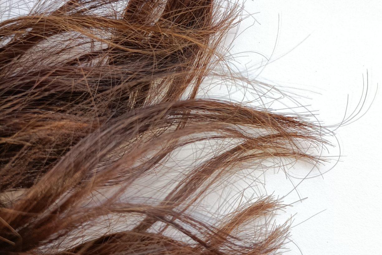 营养不良的头发