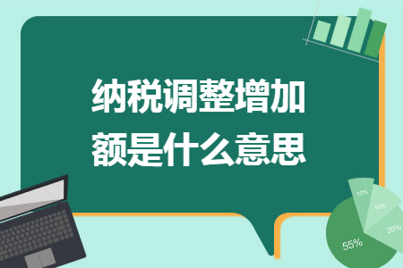 纳税调整增加额是什么意思