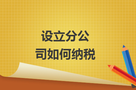 设立分公司如何纳税 设立分公司如何纳税