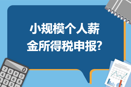 小规模个人薪金所得税申报?