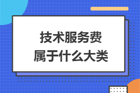 技术服务费属于什么大类 技术服务费属于什么大类