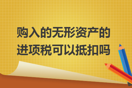购入的无形资产的进项税可以抵扣吗