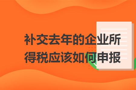补交去年的企业所得税应该如何申报 补交去年的企业所得税应该如何申报