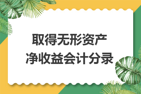 取得无形资产净收益会计分录