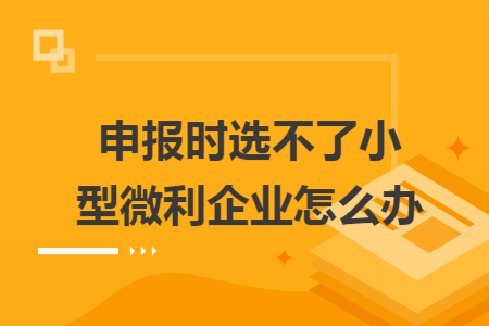 申报时选不了小型微利企业怎么办