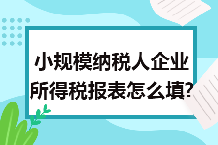 小规模纳税人企业所得税报表怎么填?