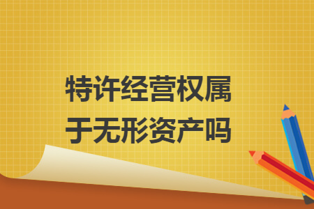特许经营权属于无形资产吗