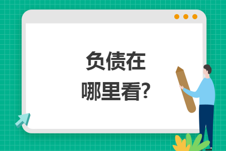 负债在哪里看?