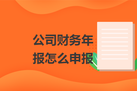 公司财务年报怎么申报