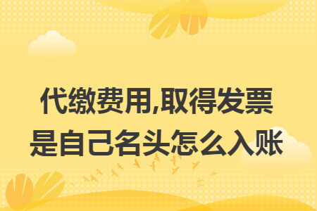 代缴费用,取得发票是自己名头怎么入账 代缴费用,取得发票是自己名头怎么入账
