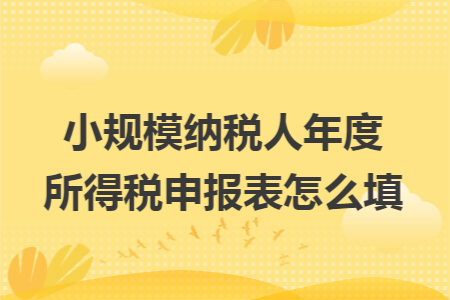 小规模纳税人年度所得税申报表怎么填