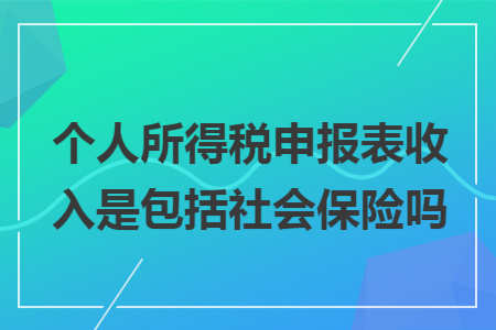个人所得税申报表收入是包括社会保险吗 个人所得税申报表收入是包括社会保险吗