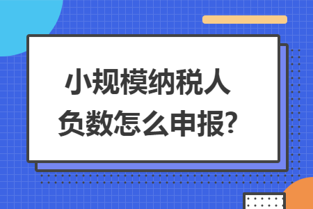 小规模纳税人负数怎么申报? 小规模纳税人负数怎么申报?