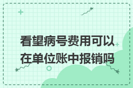 看望病号费用可以在单位账中报销吗