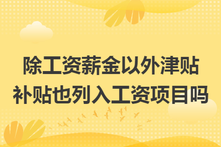 除工资薪金以外津贴补贴也列入工资项目吗 除工资薪金以外津贴补贴也列入工资项目吗