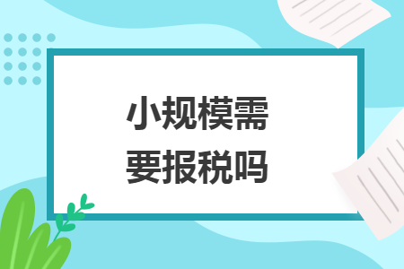 小规模需要报税吗