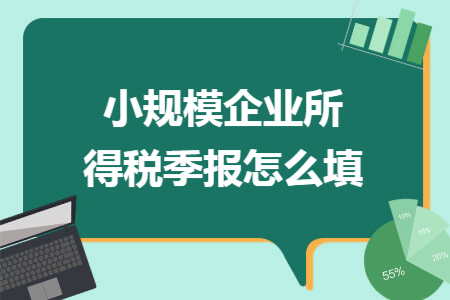 小规模企业所得税季报怎么填 小规模企业所得税季报怎么填