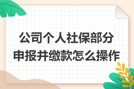 公司个人社保部分申报并缴款怎么操作 公司个人社保部分申报并缴款怎么操作