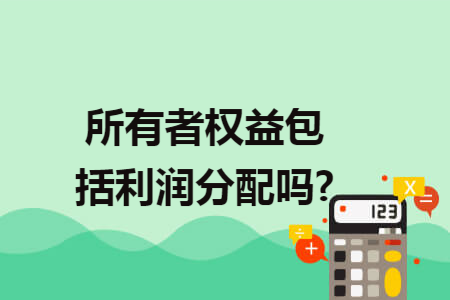 所有者权益包括利润分配吗?