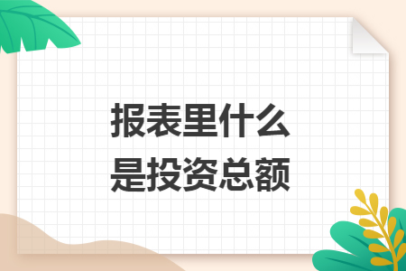报表里什么是投资总额