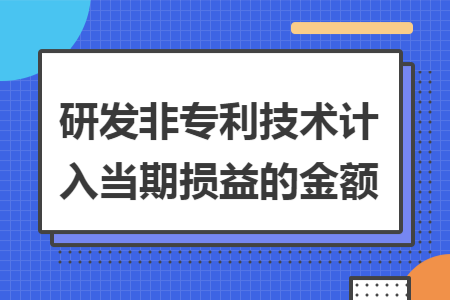 研发非专利技术计入当期损益的金额
