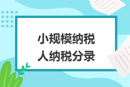 小规模纳税人纳税分录