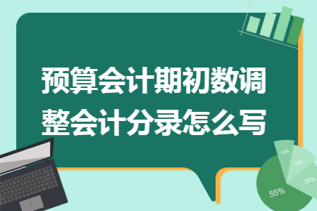 预算会计期初数调整会计分录怎么写