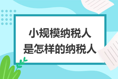 小规模纳税人是怎样的纳税人