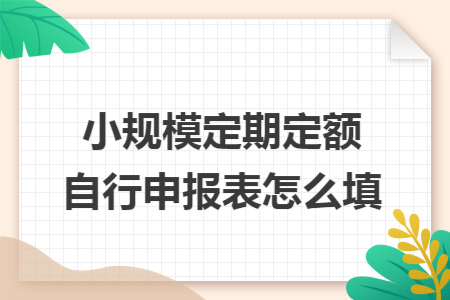 小规模定期定额自行申报表怎么填