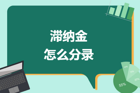 滞纳金怎么分录