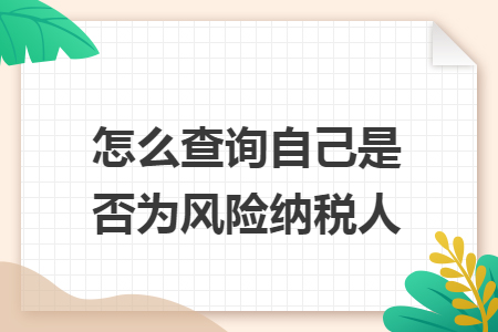 怎么查询自己是否为风险纳税人
