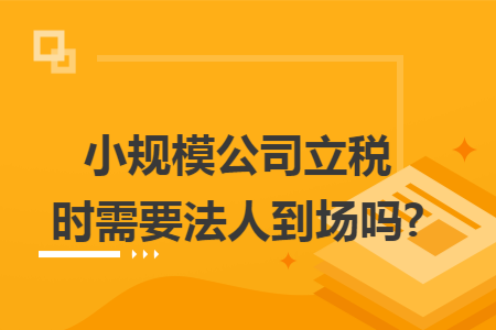 小规模公司立税时需要法人到场吗?
