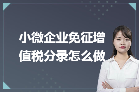 小微企业免征增值税分录怎么做 小微企业免征增值税分录怎么做