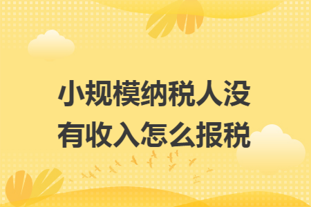 小规模纳税人没有收入怎么报税