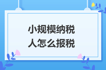 小规模纳税人怎么报税